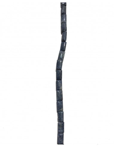 Corail bambou bleu Rectangle
